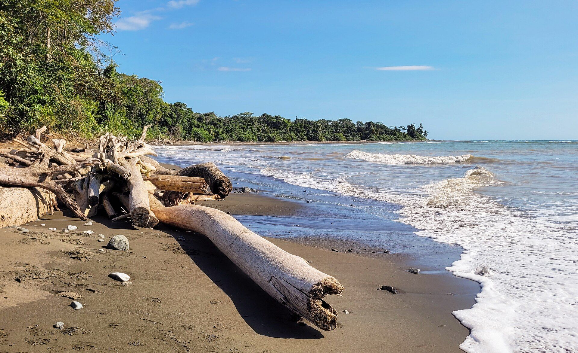 Turismo regenerativo: por qué Costa Rica es el modelo mundial