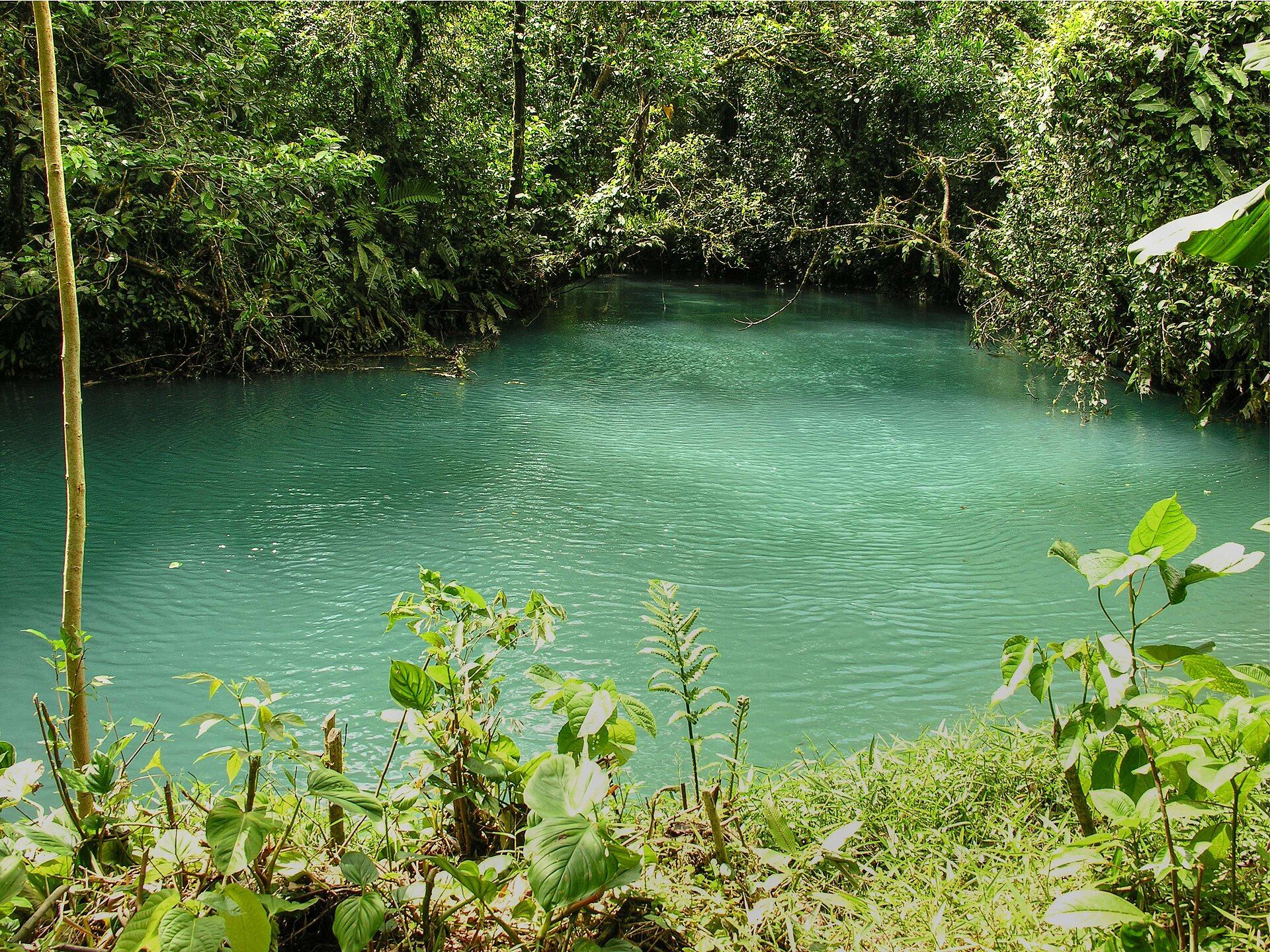 Río Celeste · Tenorio