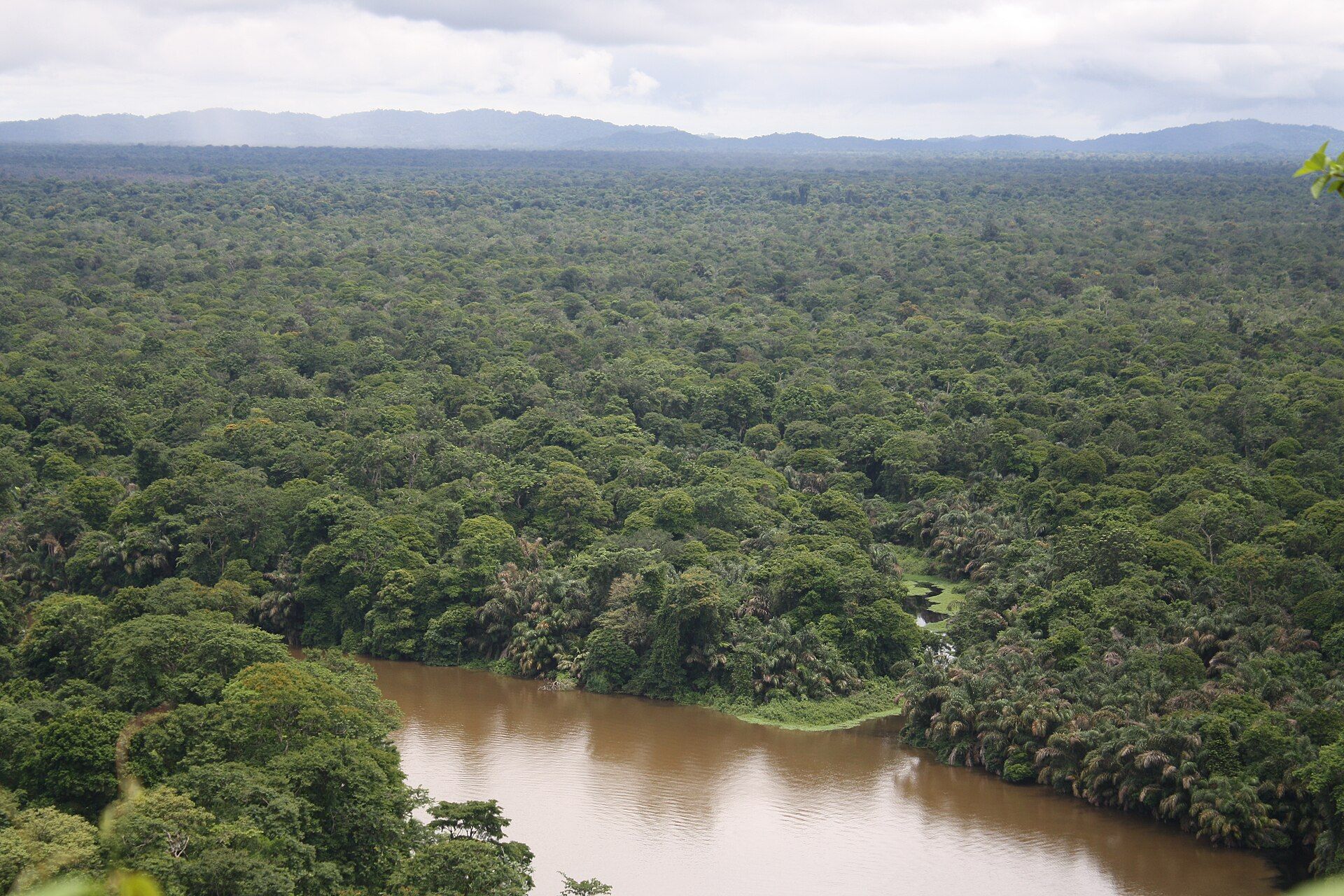 Tortuguero
