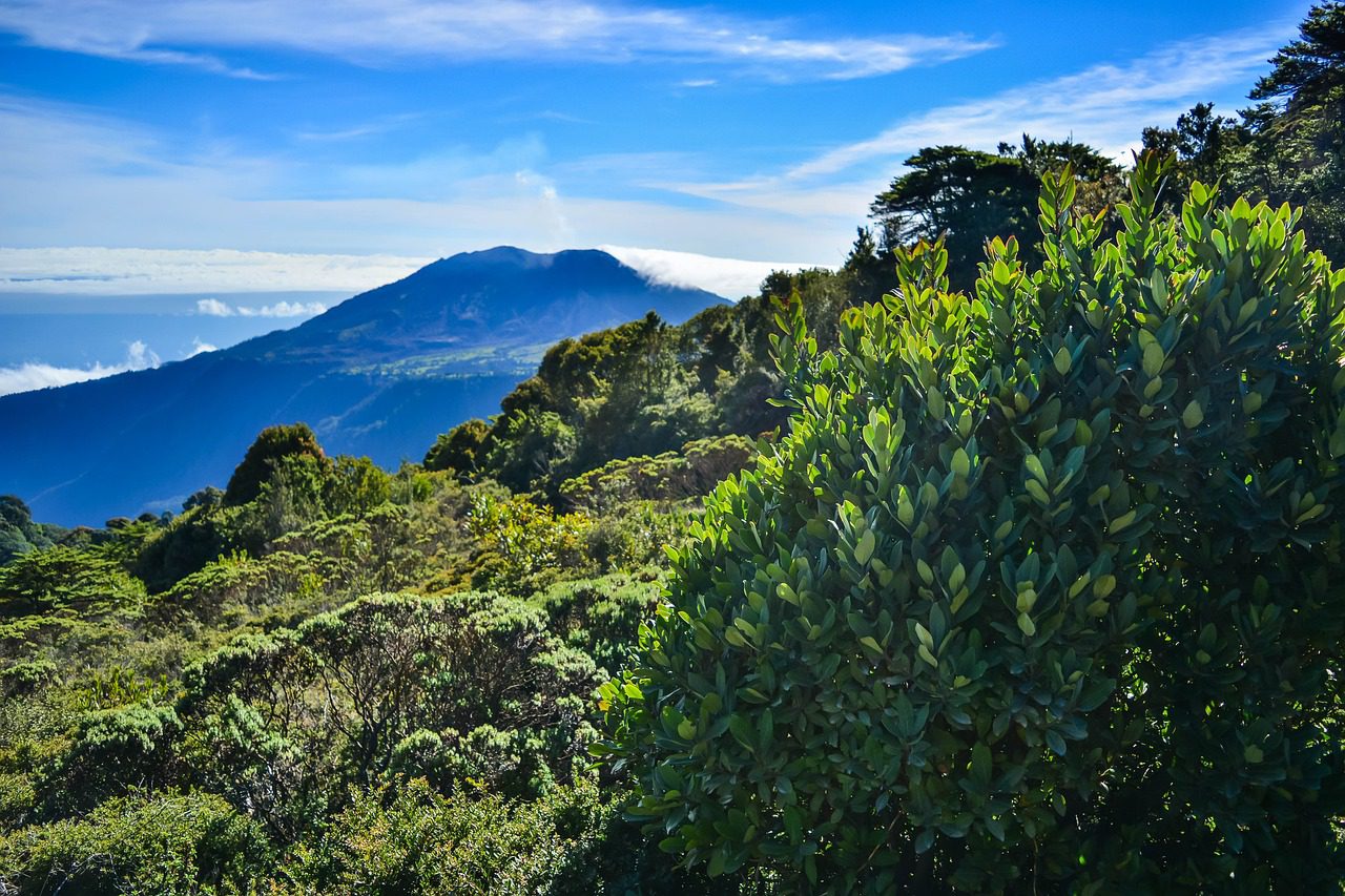 COSTA RICA AVENTURA 10 DÍAS