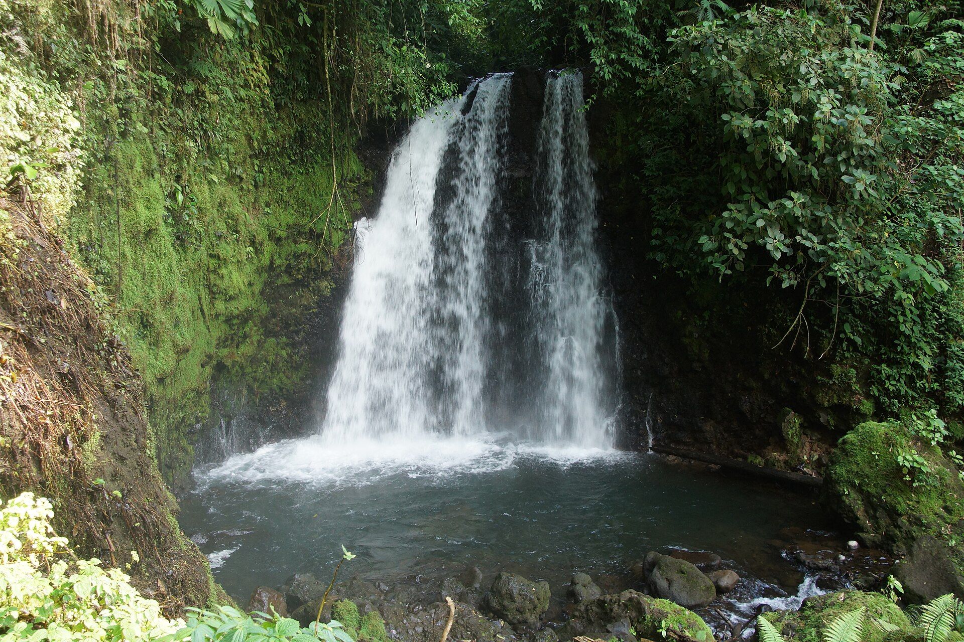 Río Celeste + búsqueda de perezosos