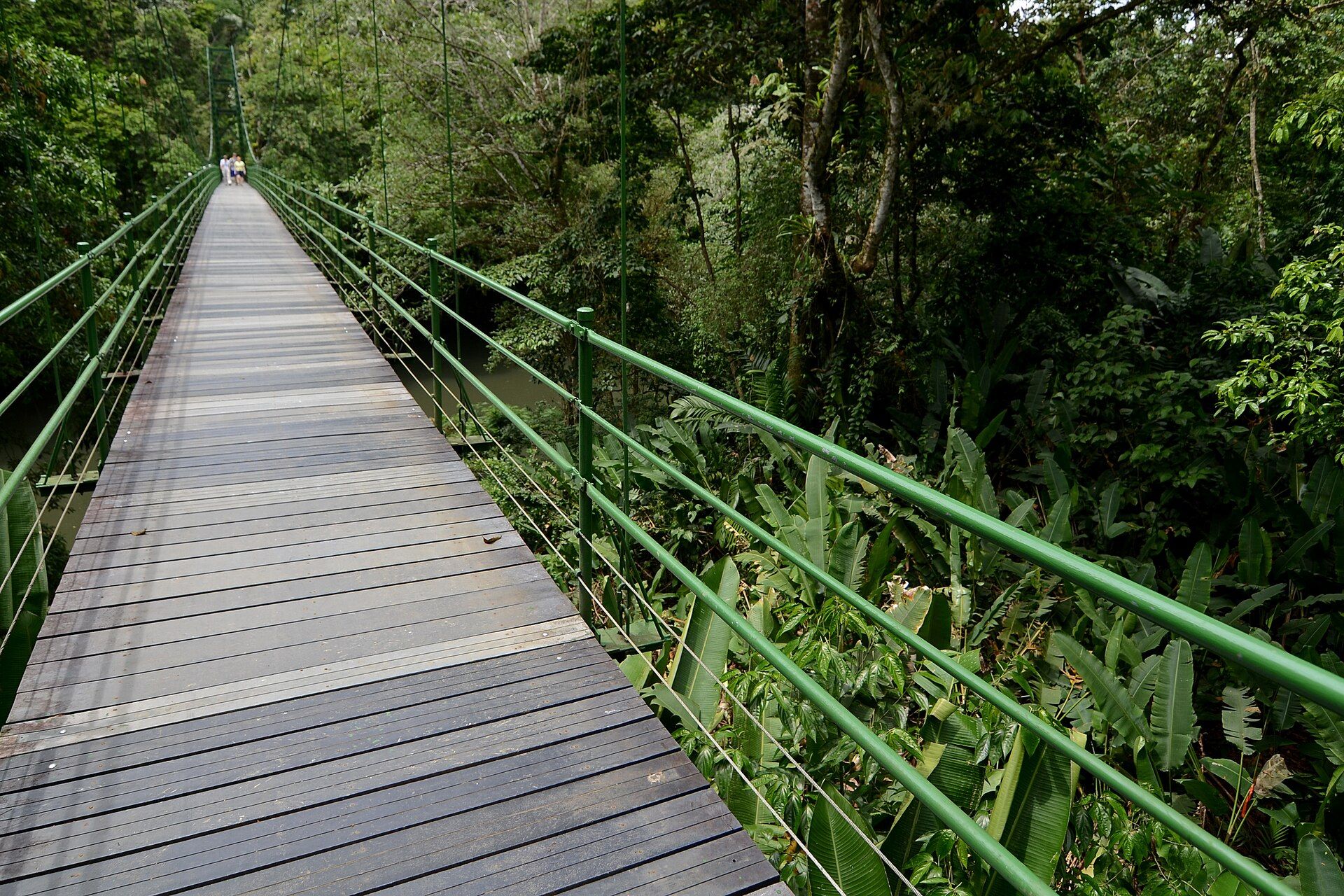 Sky Walk + Sky Trek: tirolesas entre nubes