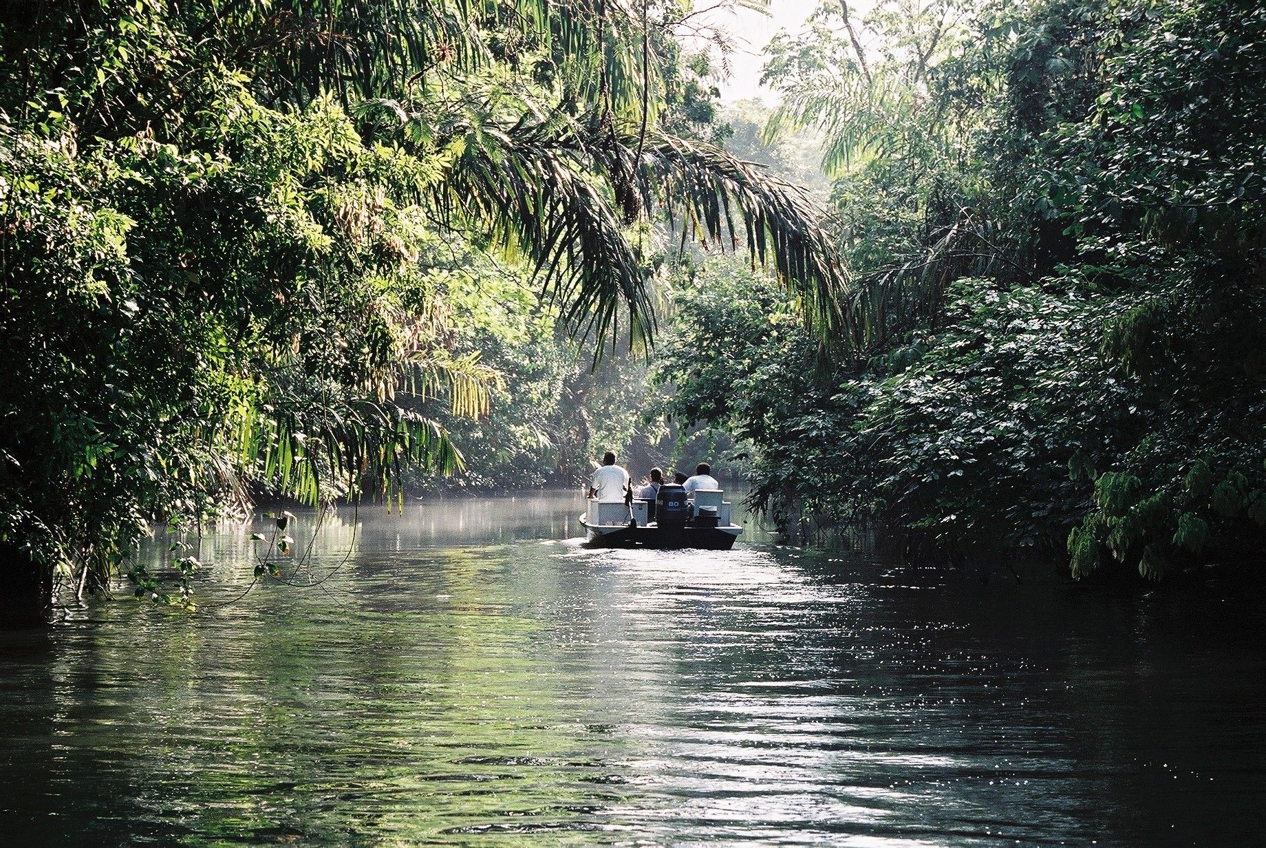 Expedición Tortuguero 3 días / 2 noches