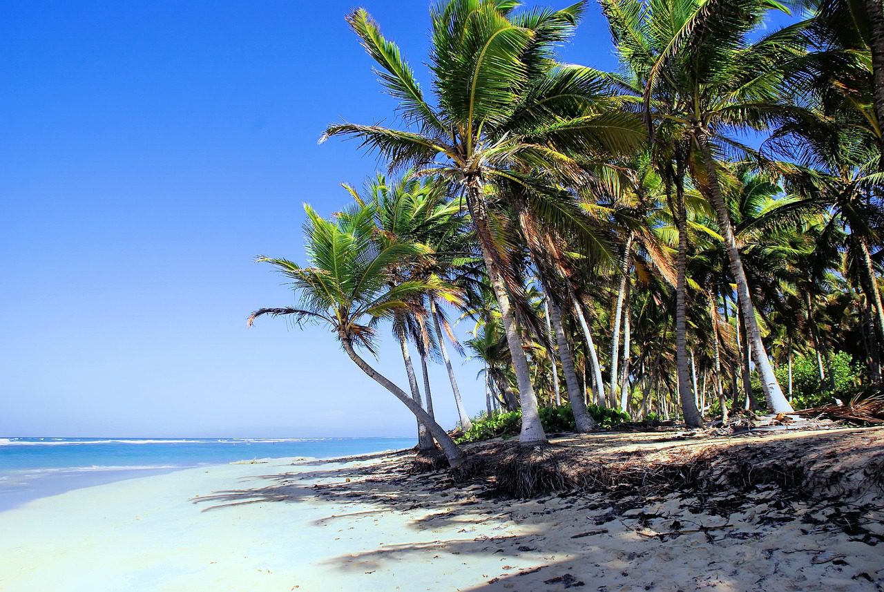 MARINARIUM SNORKELING CRUISE IN PUNTA CANA