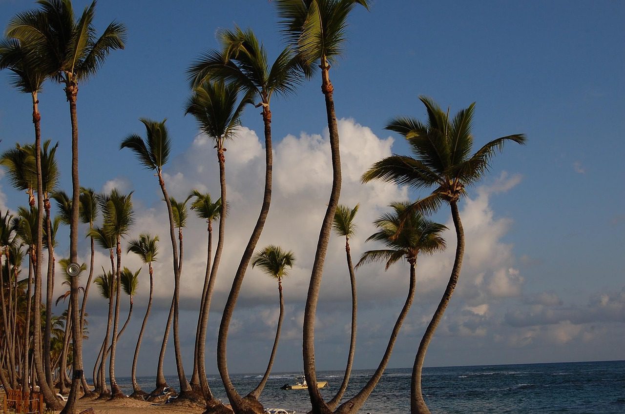 EXCURSIÓN A SEAQUARIUM PUNTA CANA