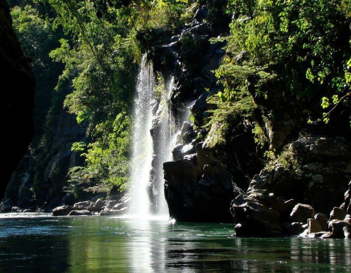 TOUR: CAMINATA ECOLÓGICA – CASCADA DE “LA MIEL” EN MEDELLÍN