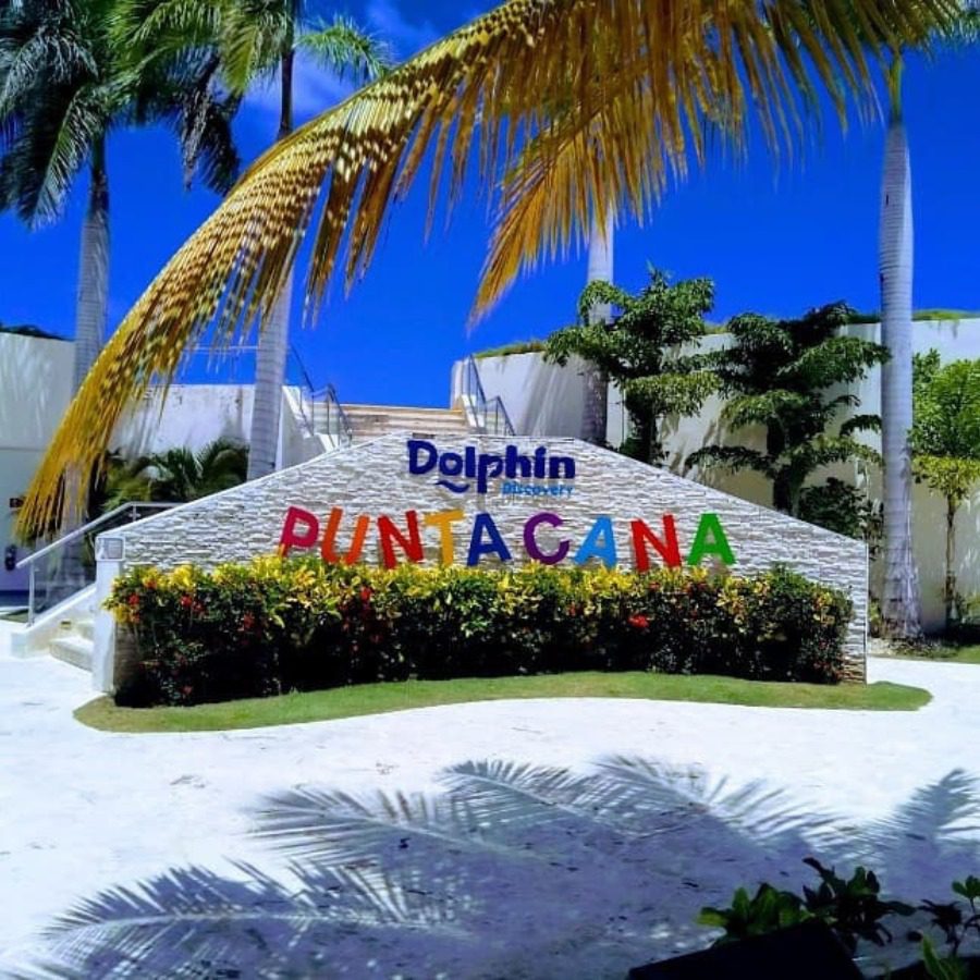 DOLPHIN DISCOVERY PUNTA CANA
